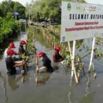 Service %Customfield(Mobil)% Di Lokasi Anda