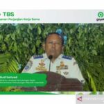 Service %Customfield(Mobil)% Di Lokasi Anda
